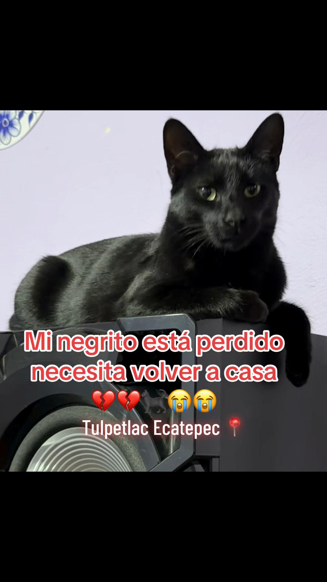 @Isabel JL