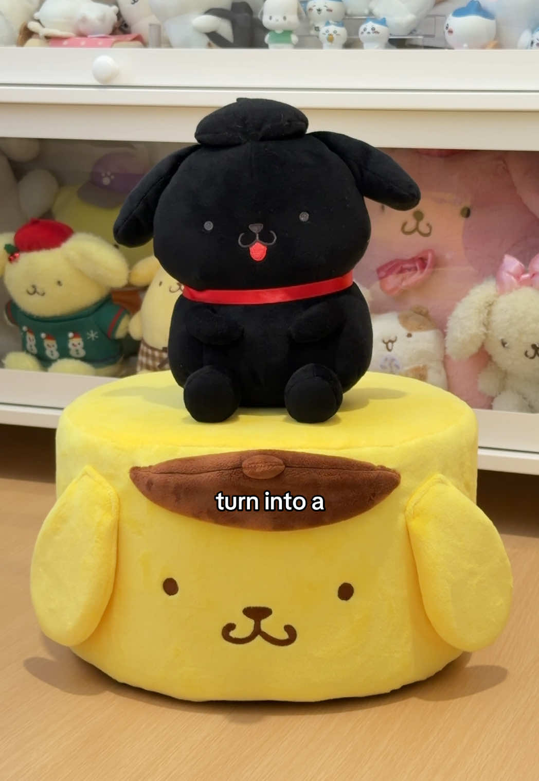 @pompomgurl ૮₍ ´ ꒳ `₎ა