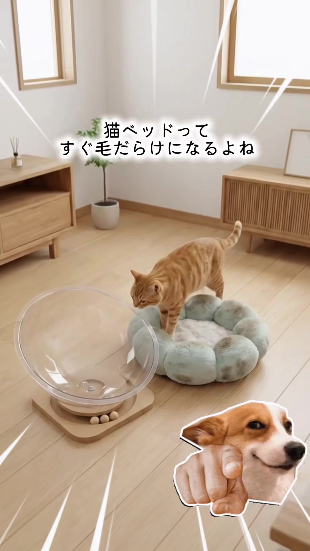 @ゆりのくらしノート