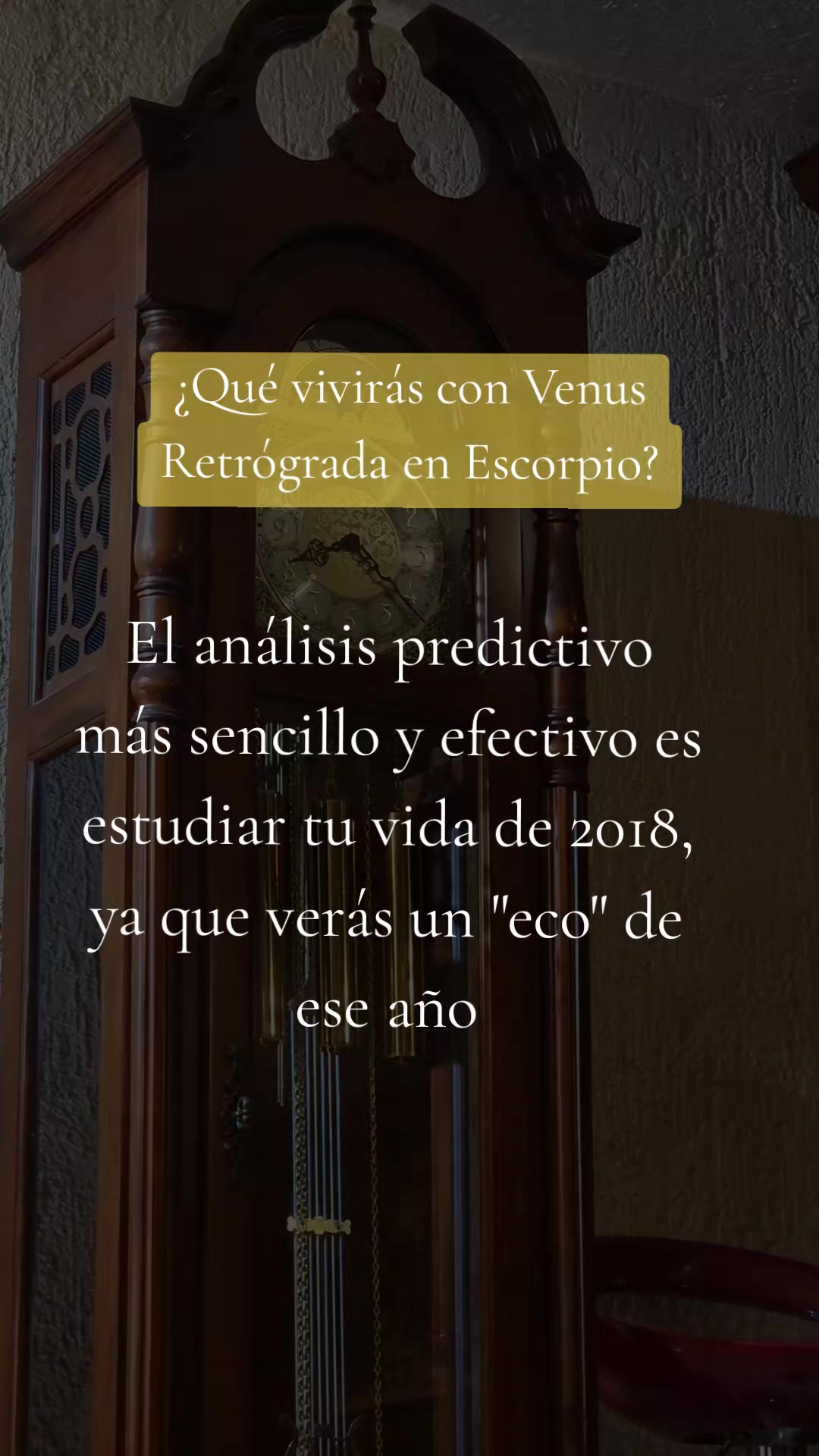 @Cass Astrologia🇵🇸