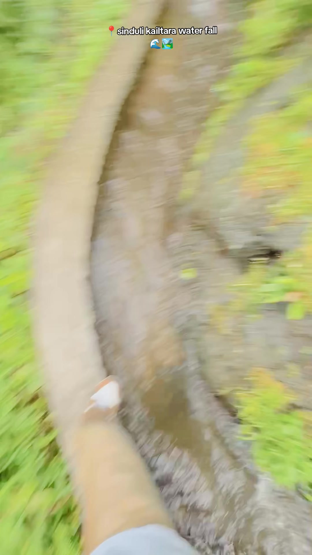 @PRincE.🐿️