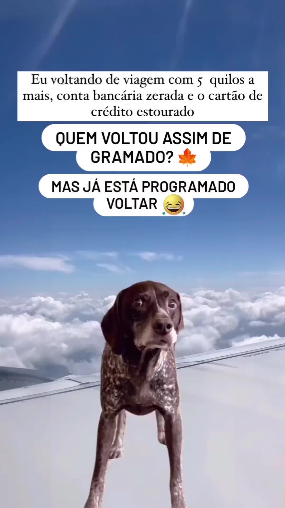 @NossoAptoEmGramado
