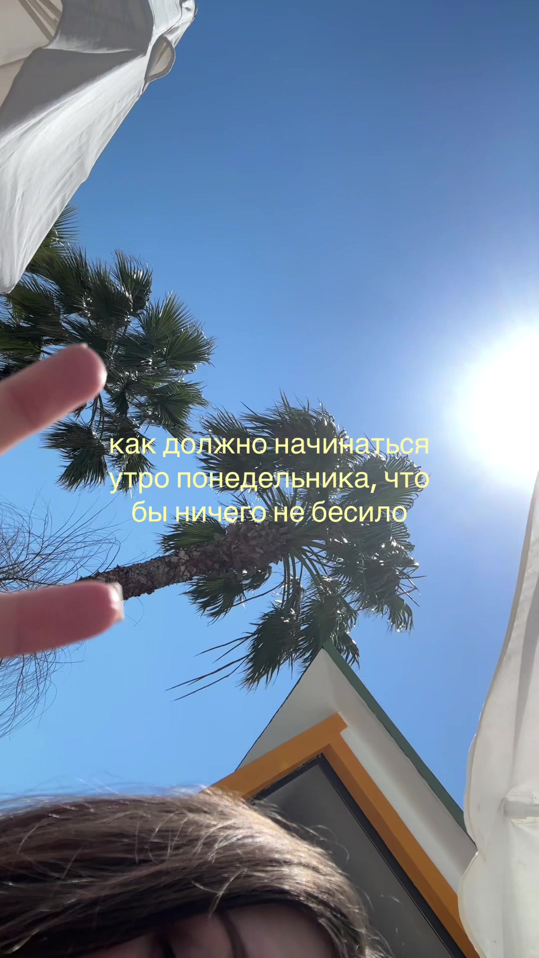 @саша лол 🦄