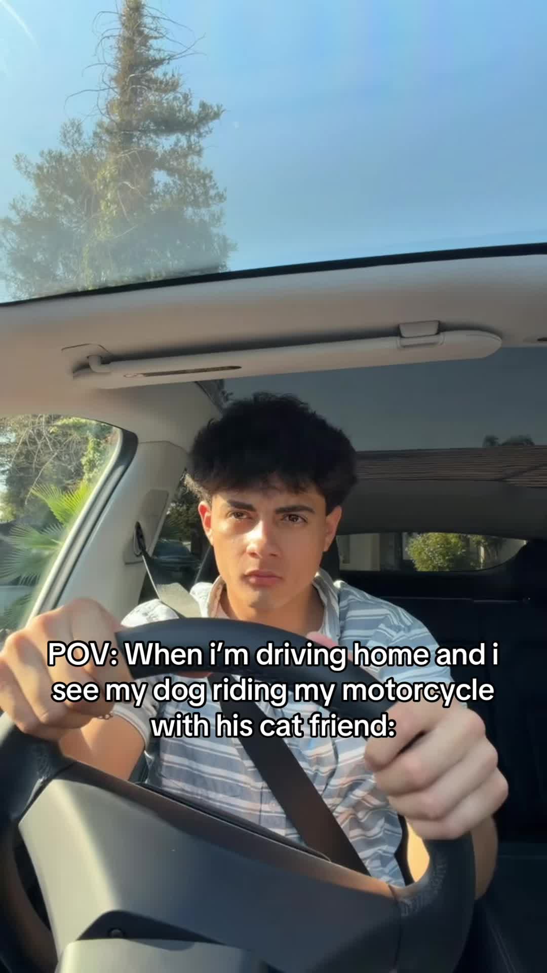 @Dereck