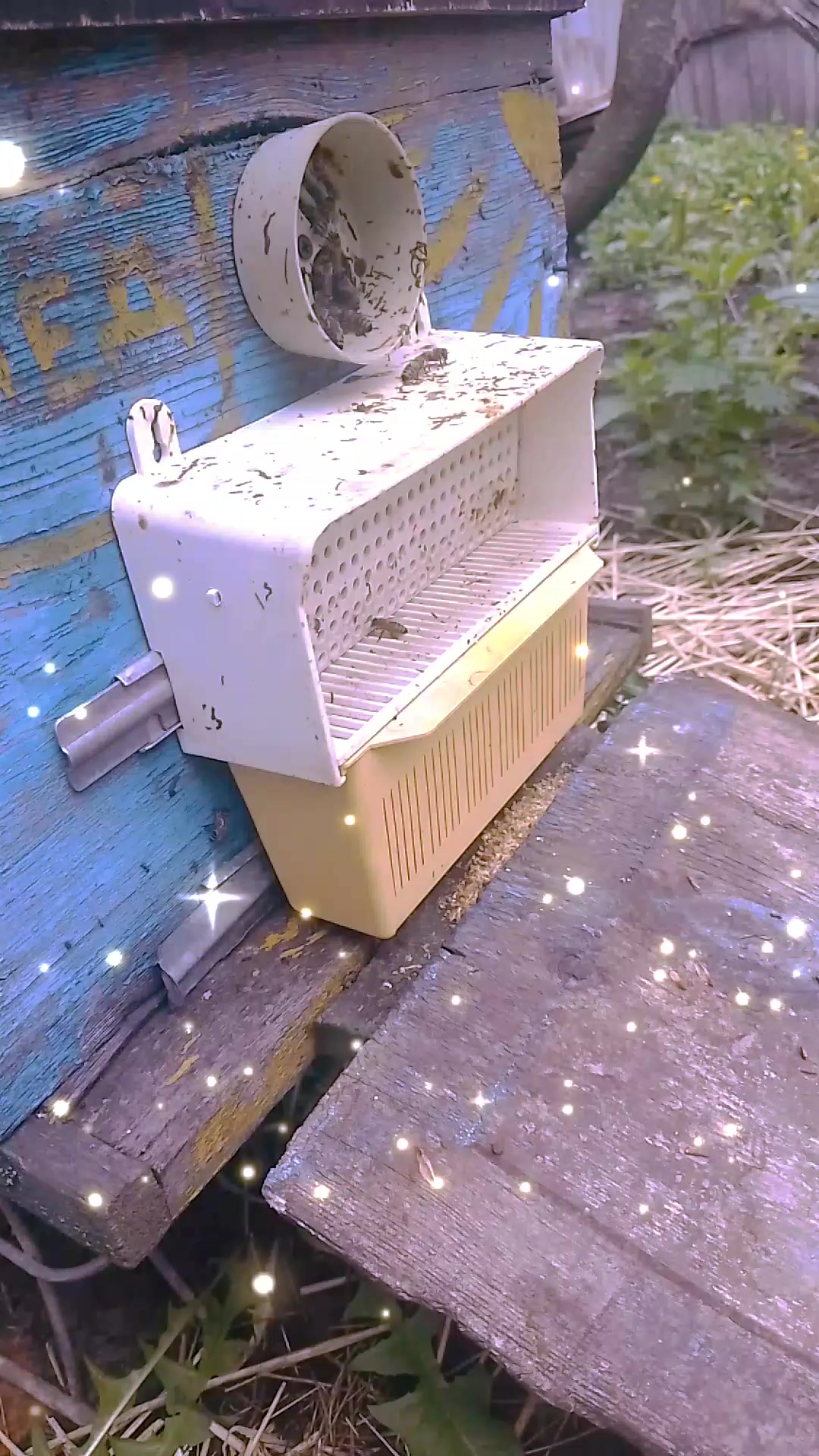 @Альона Мальцева