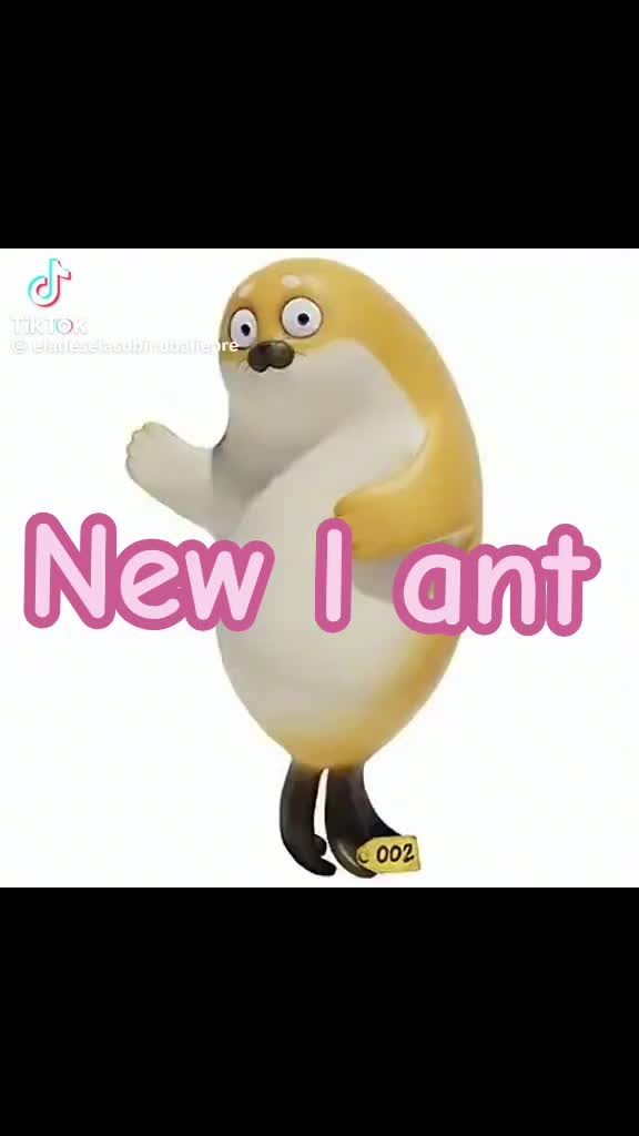 @☆彡彡ꭈׁׅυׁׅׅ꯱ׅ꯱ꪱׁׁׁׅׅׅɑׁׅ݊ꪀミミ☆