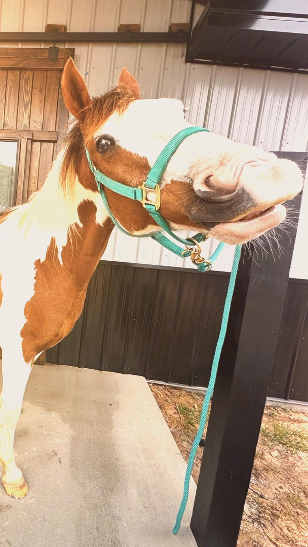 @WildernessRanch