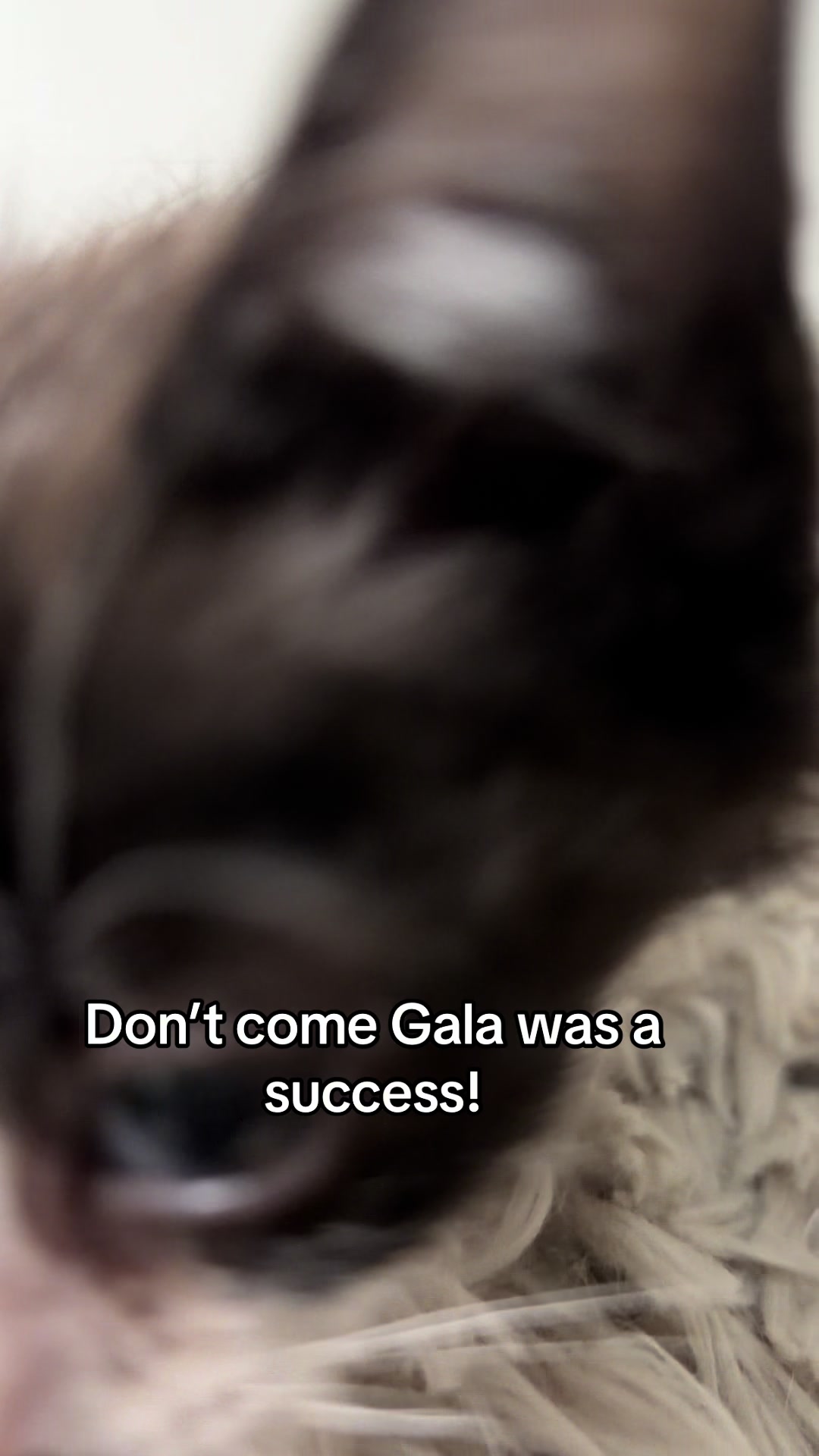 @Kovu&rsquo;s Kitties