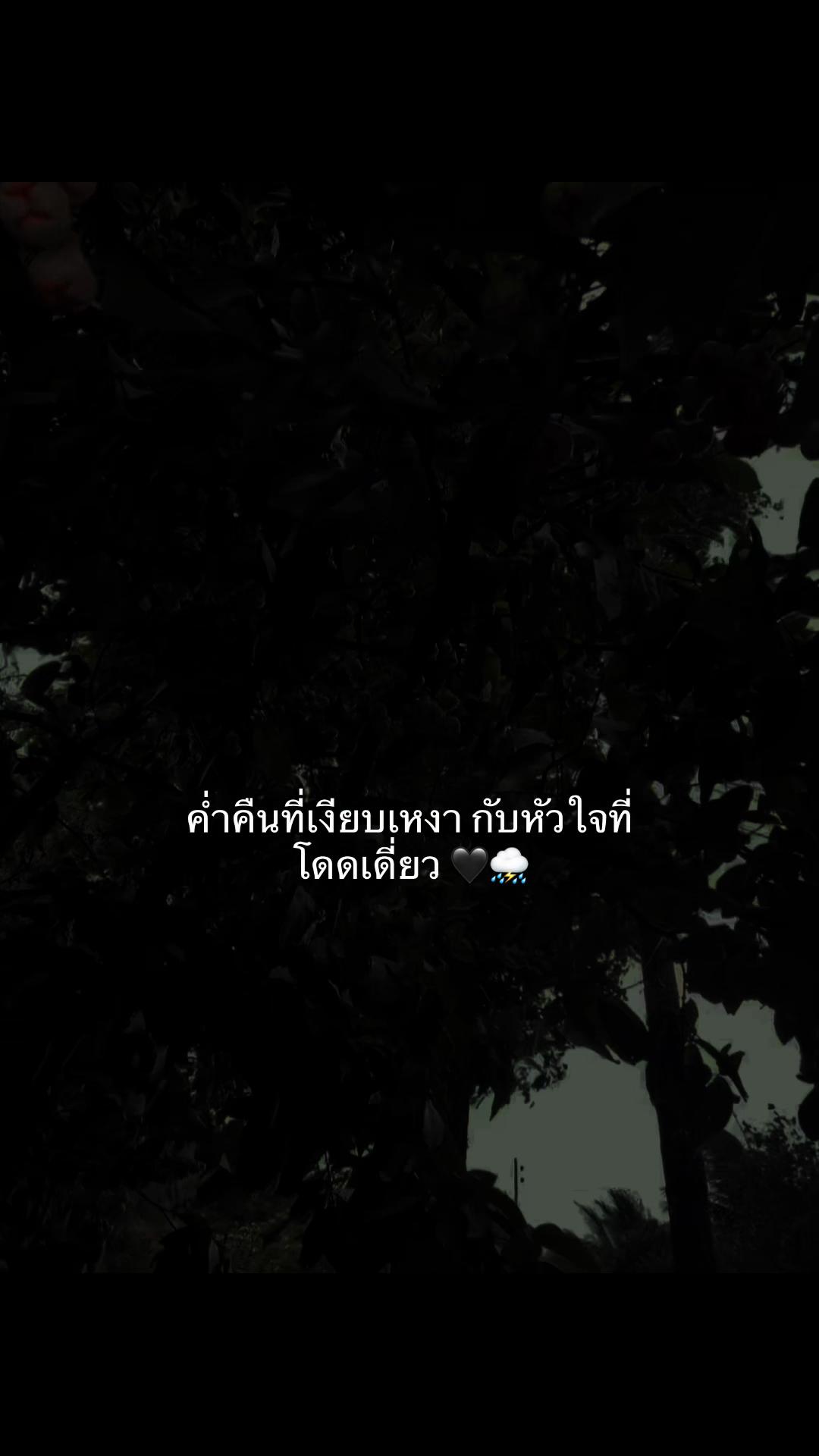 @Samai  Yodkhlangthong