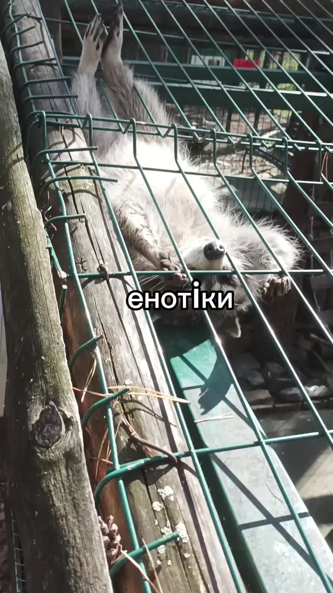 @шлепочка