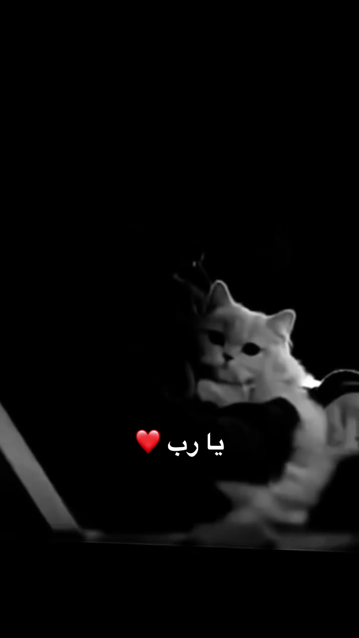 @𝑺𝒊𝒍𝒆𝒏𝒕