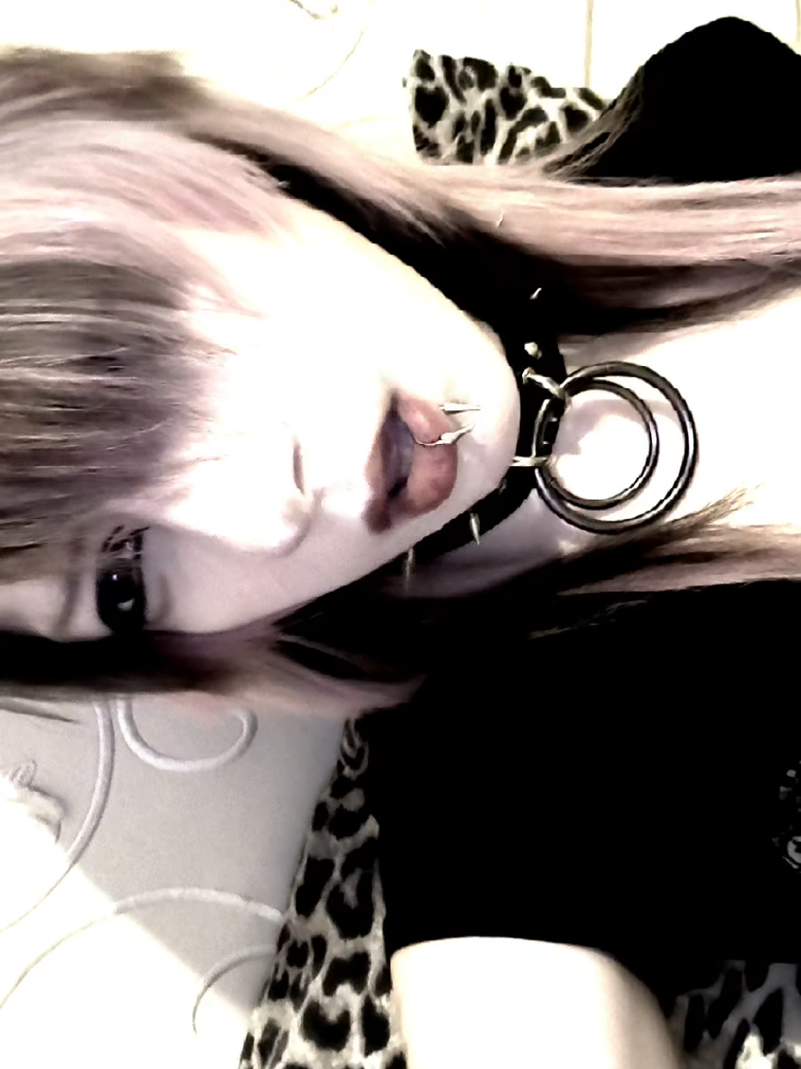 @naki ≽^&bull; ˕ &bull; ྀི≼