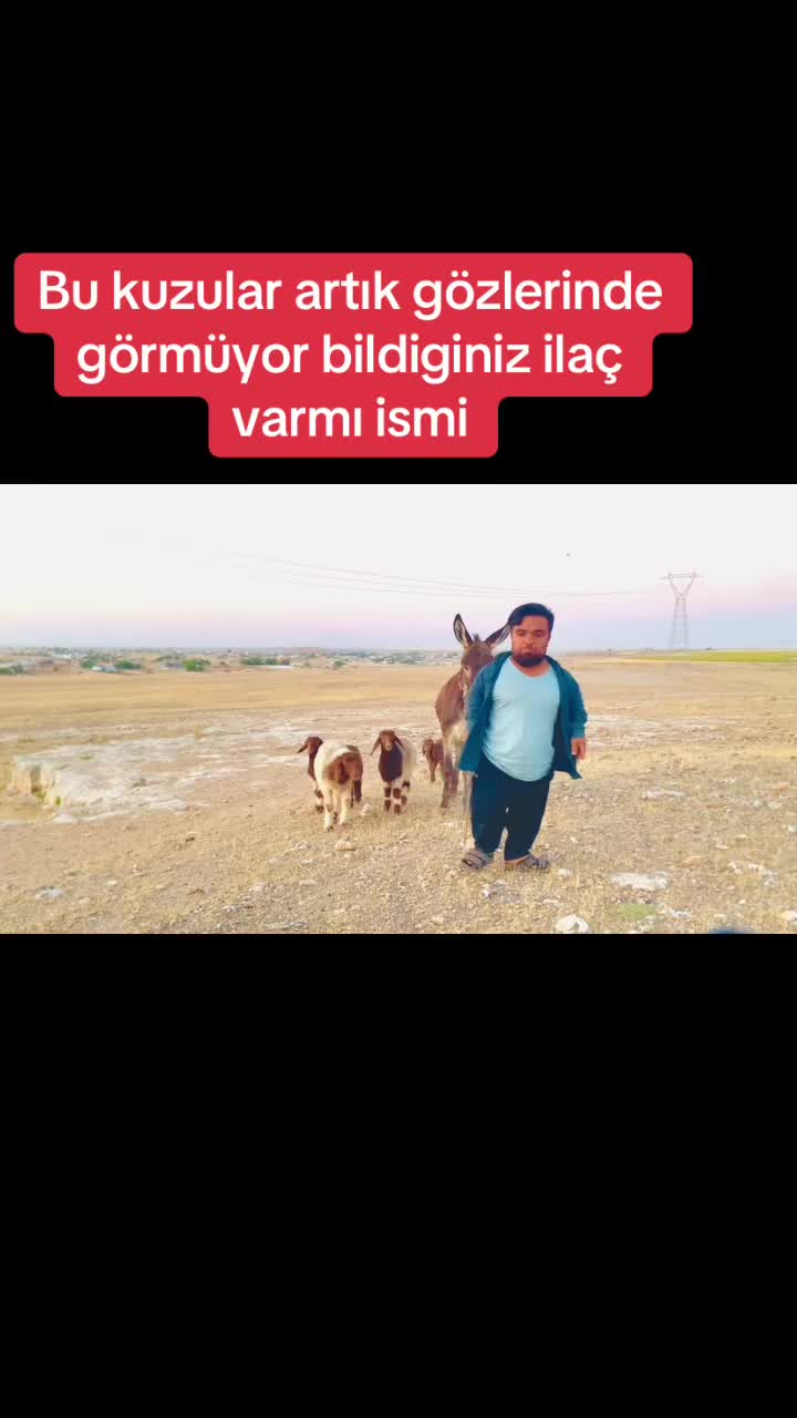 @SEDAT Uçâk|صدام العلي