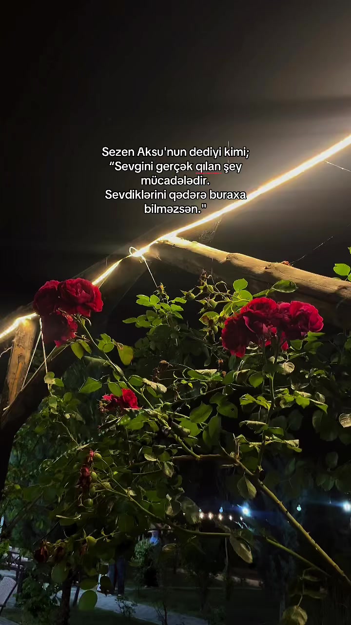@𝒊𝒏𝒄𝒊
