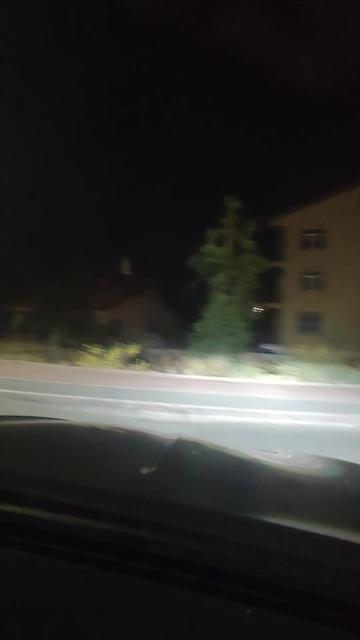 @ELA SEVECEN