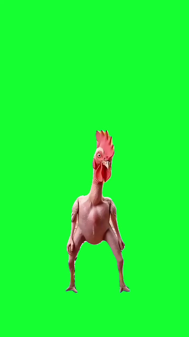 @TikTok Template