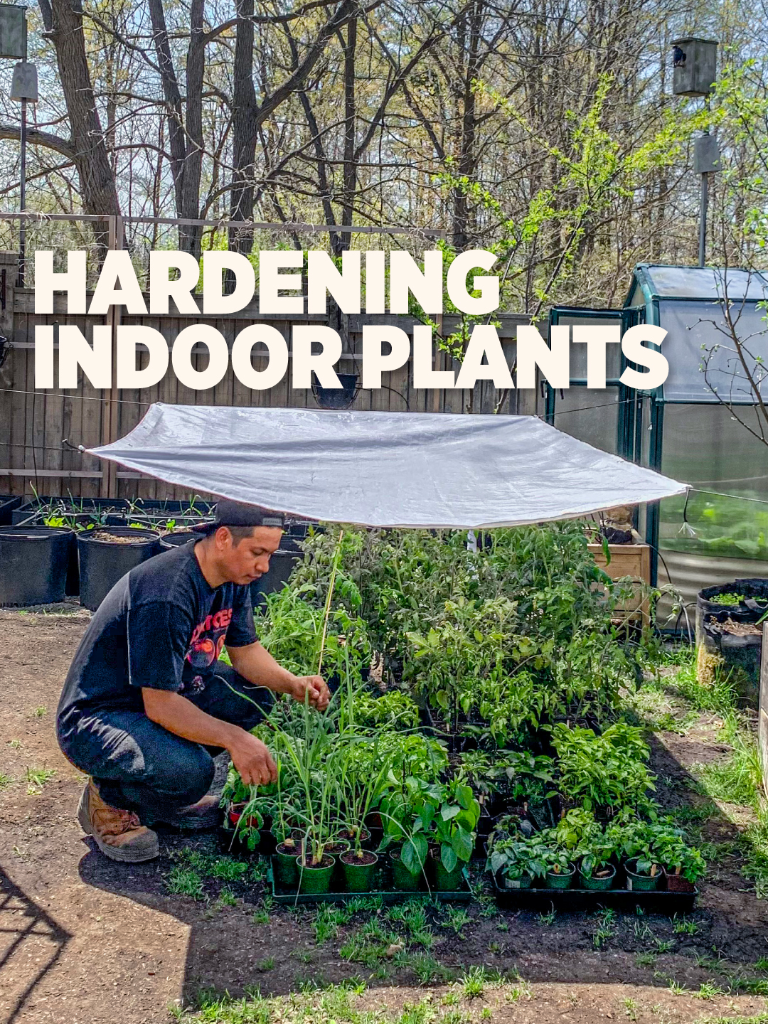 @Planted in the Garden