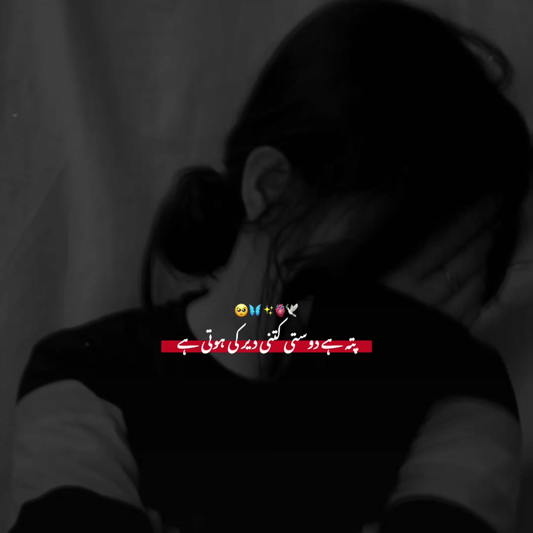 @˚₊🐻𝐌𝐢𝐧𝐮𓂃𓈒˚💗⋆