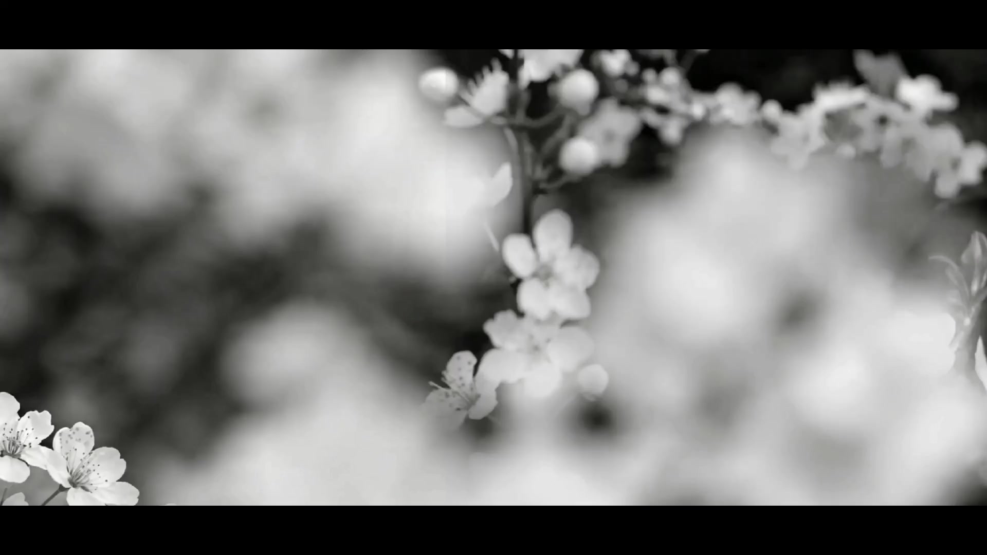 @Mizumi Hanako