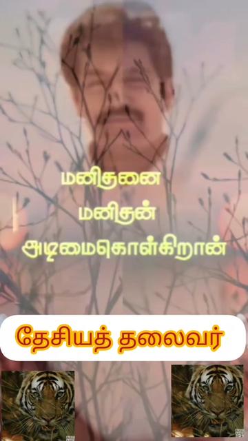 @Trader Tharshan