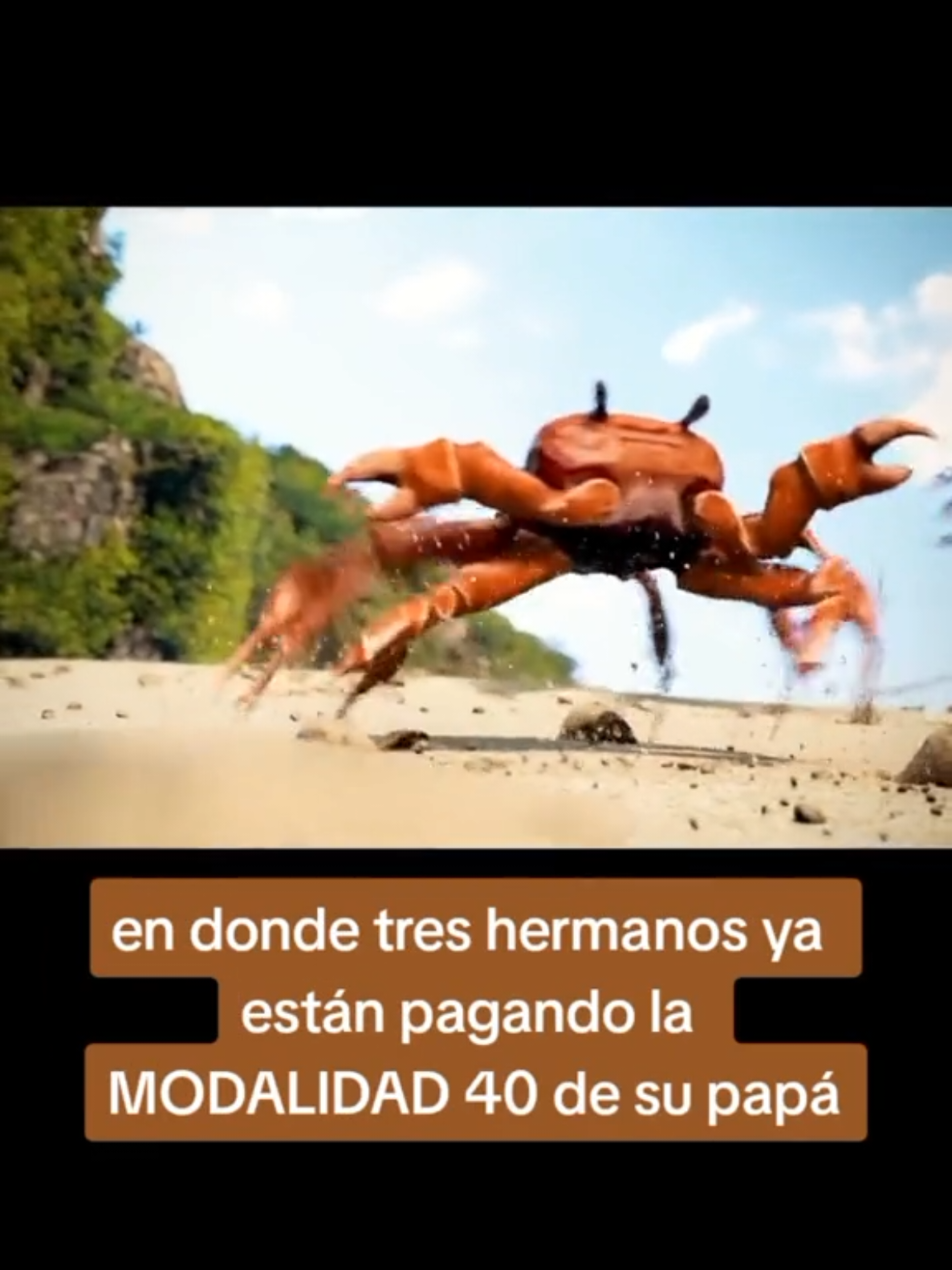 @CESAR SALDIVAR ASESOR