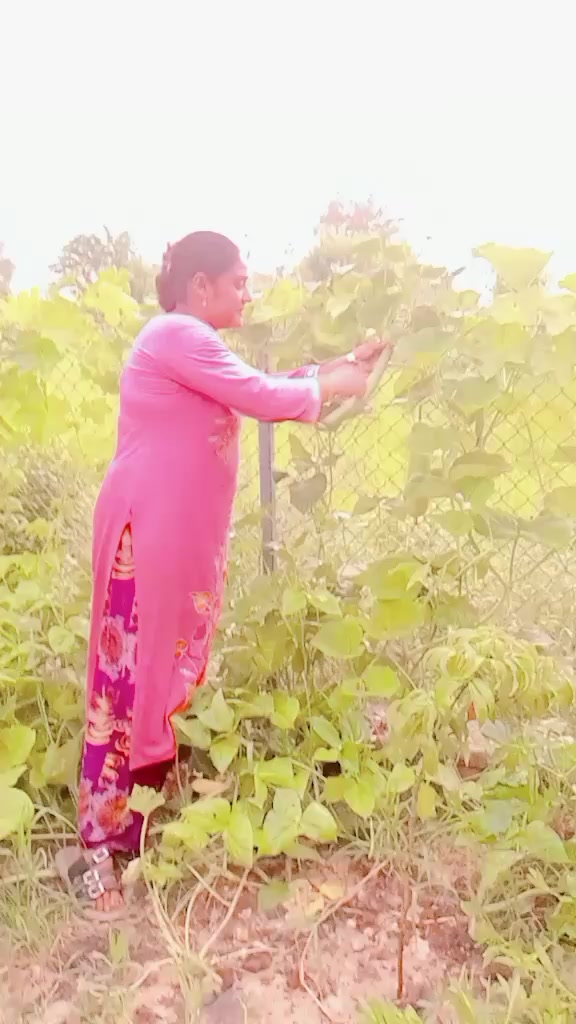 @#jamunasharma23