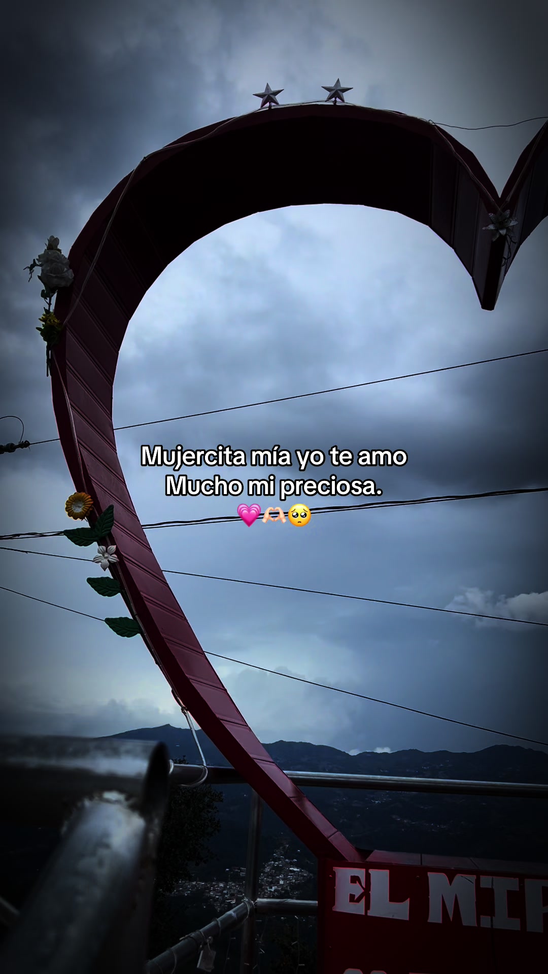 @🧃fracesgtjr🧃
