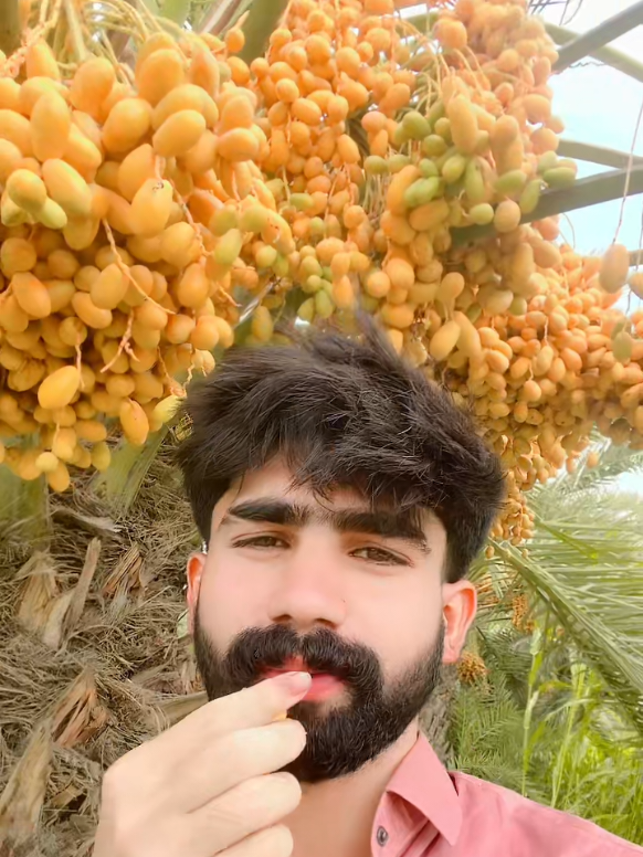 @shoaib arain 💛