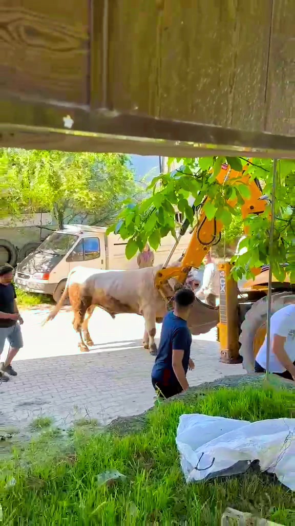 @&Ccedil;ETİNKAYA