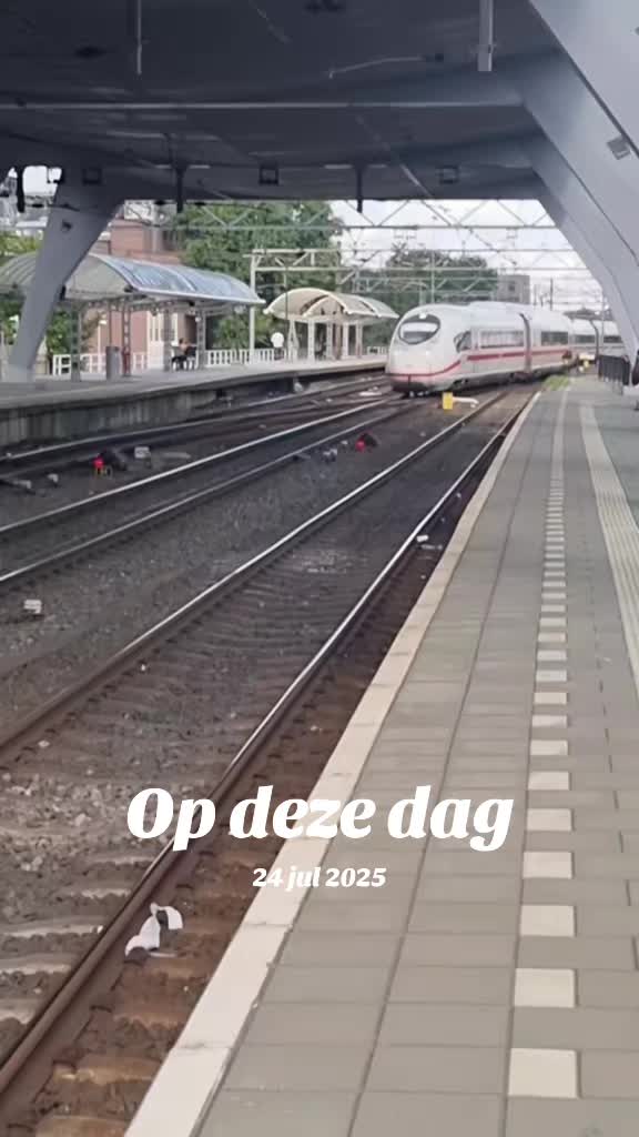 @Ov And Truck Spotter Qianu
