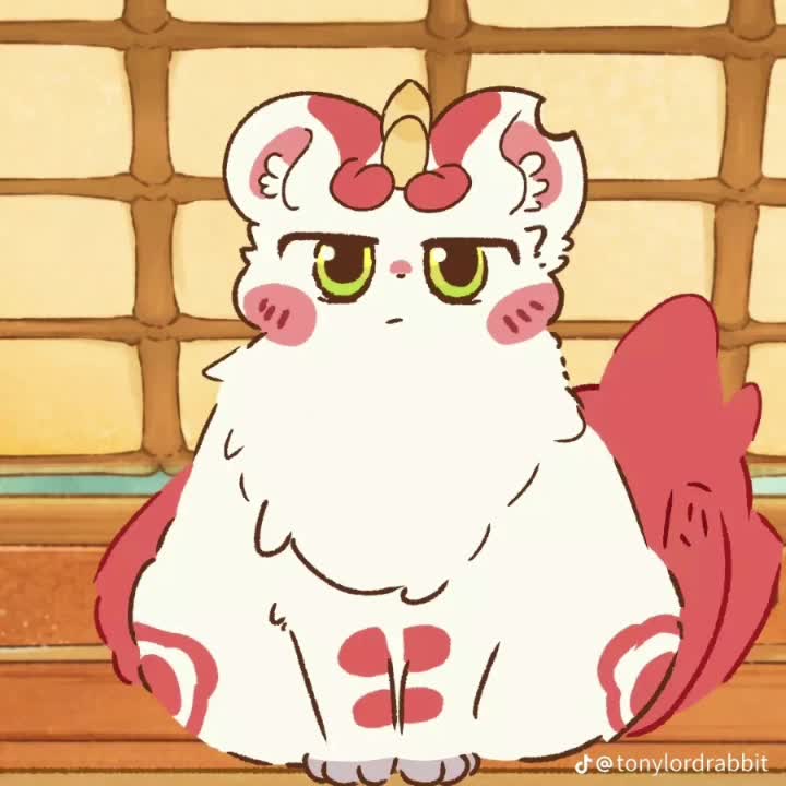 @R8毛毛雷