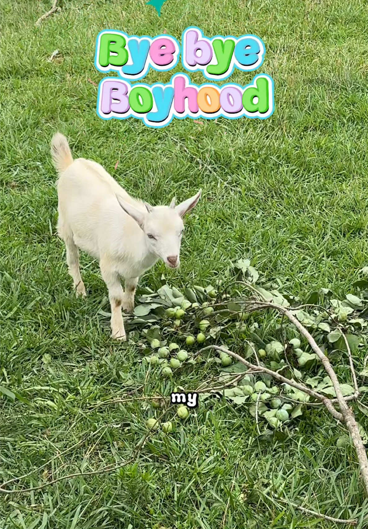 @Mindy | Pretend Farmer