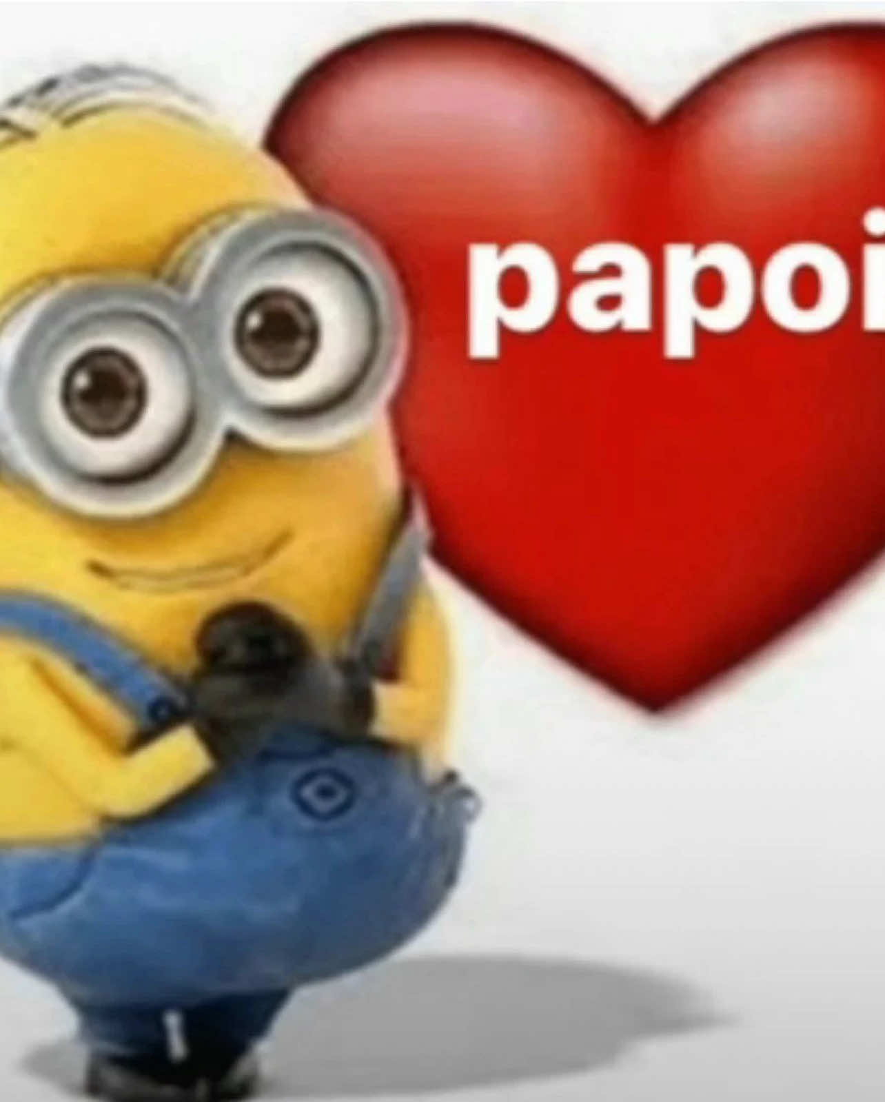 @pudim
