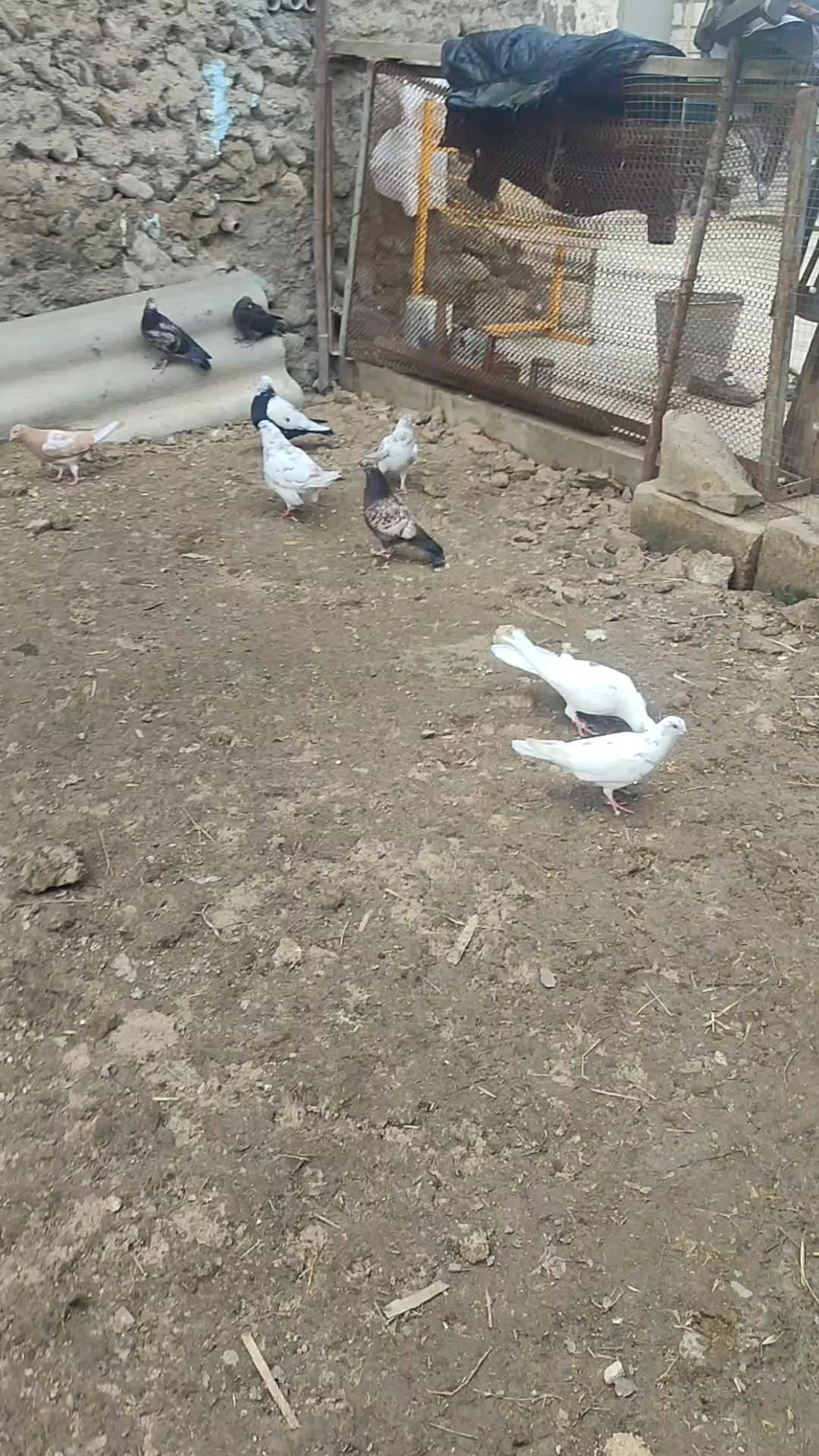 @QUŞBAZ89