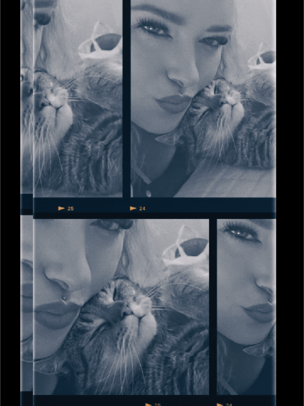 @˚₊‧꒰ა Stephi ໒꒱ ‧₊˚