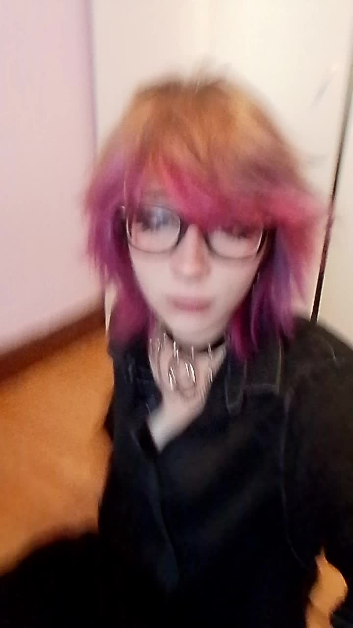 @the_last_meow