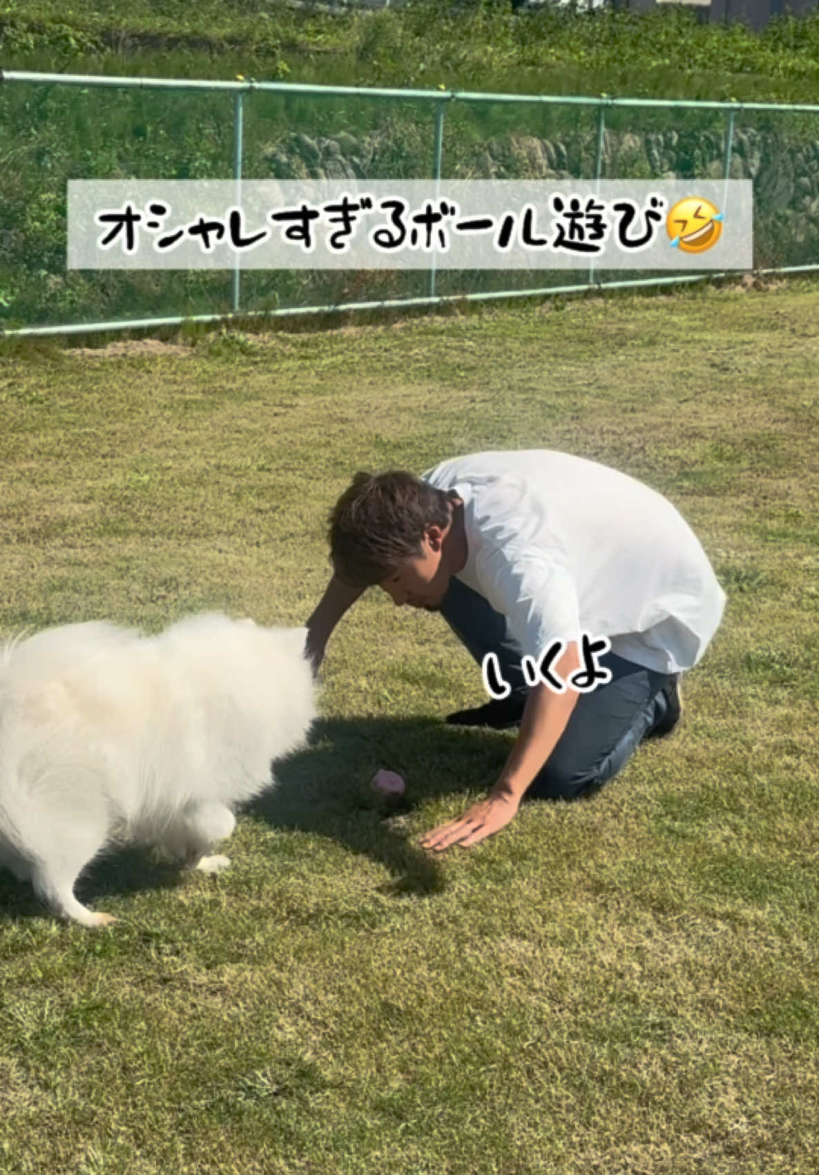 @ぽぽ家の日常