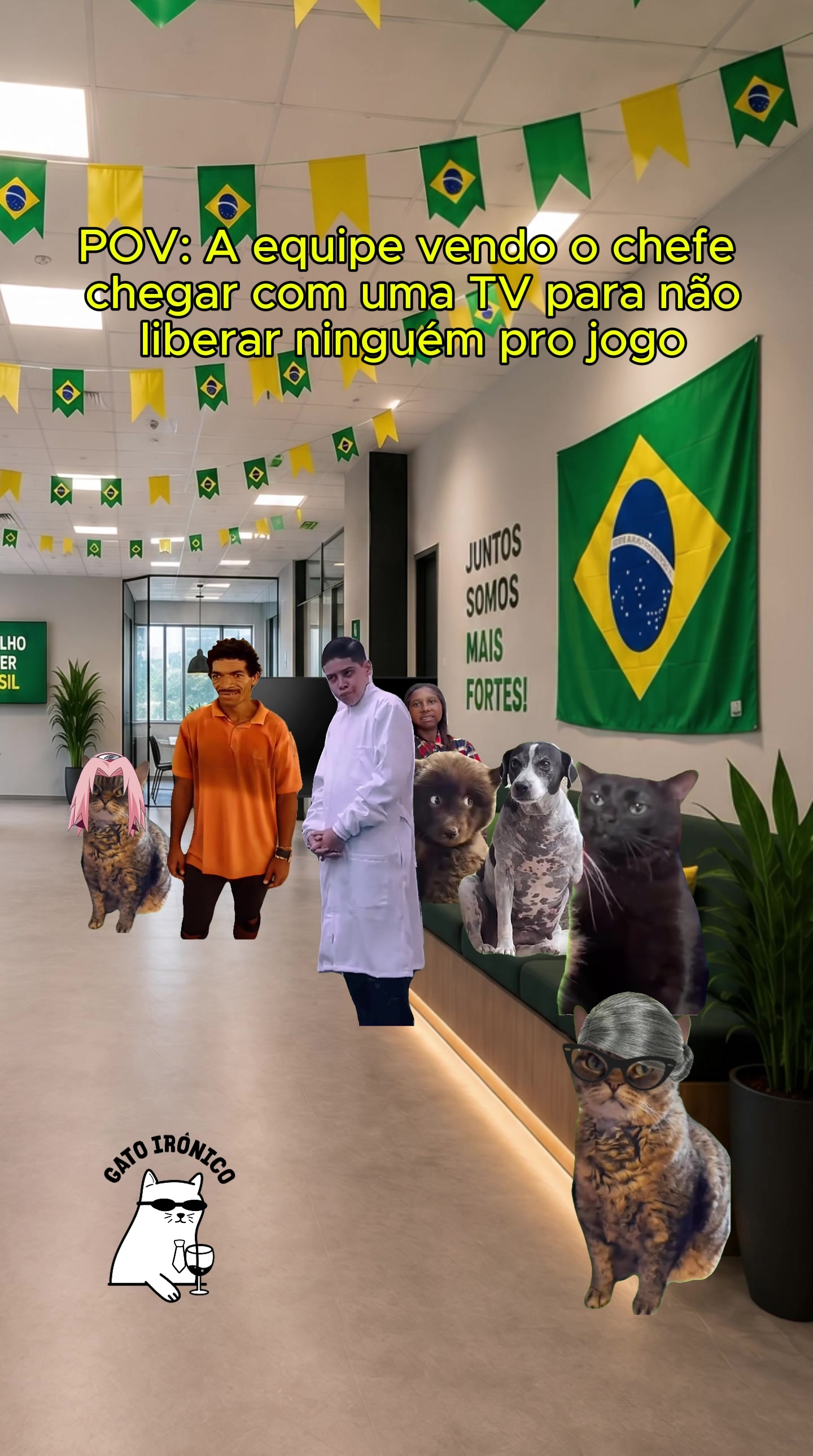 @gato ironico