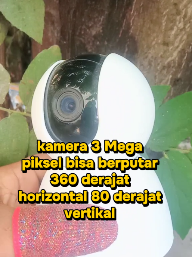 @Jelitaelectroshop