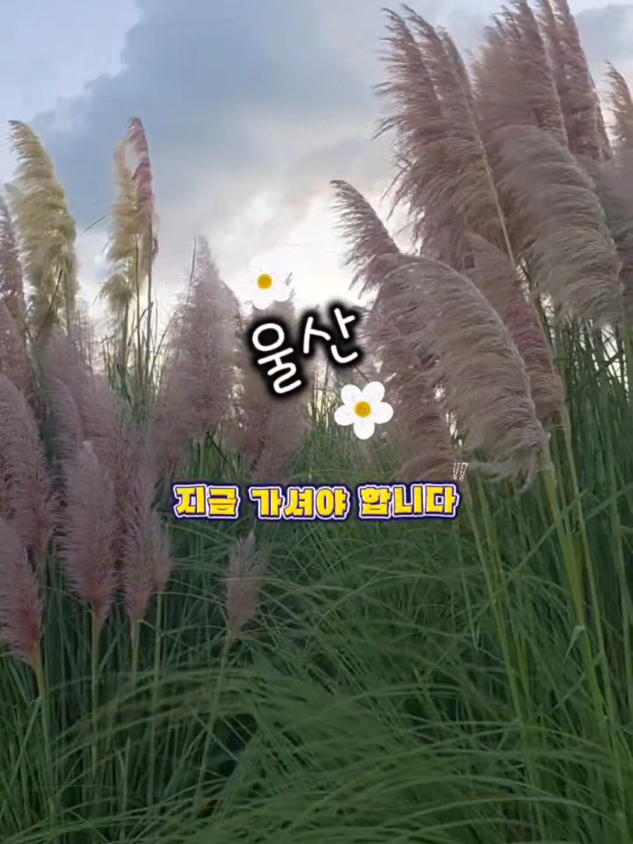 @오찬물