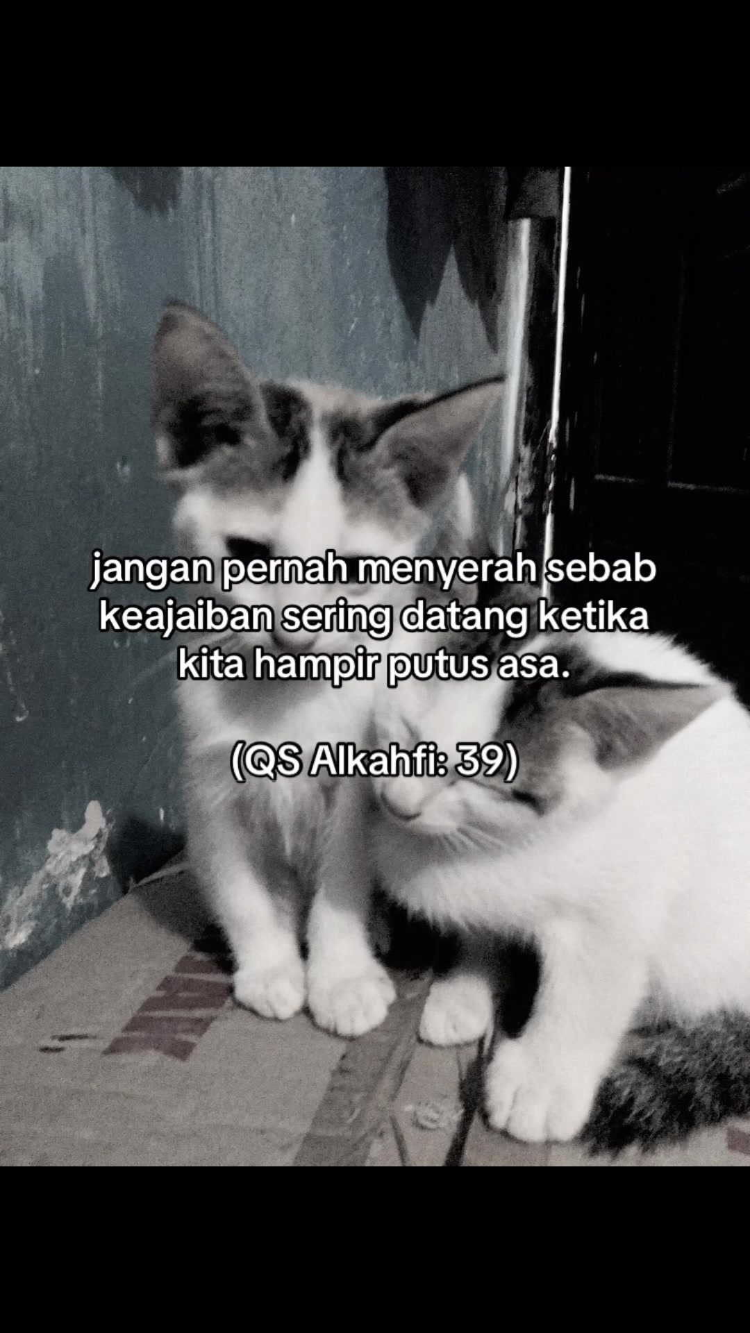 @Fiii
