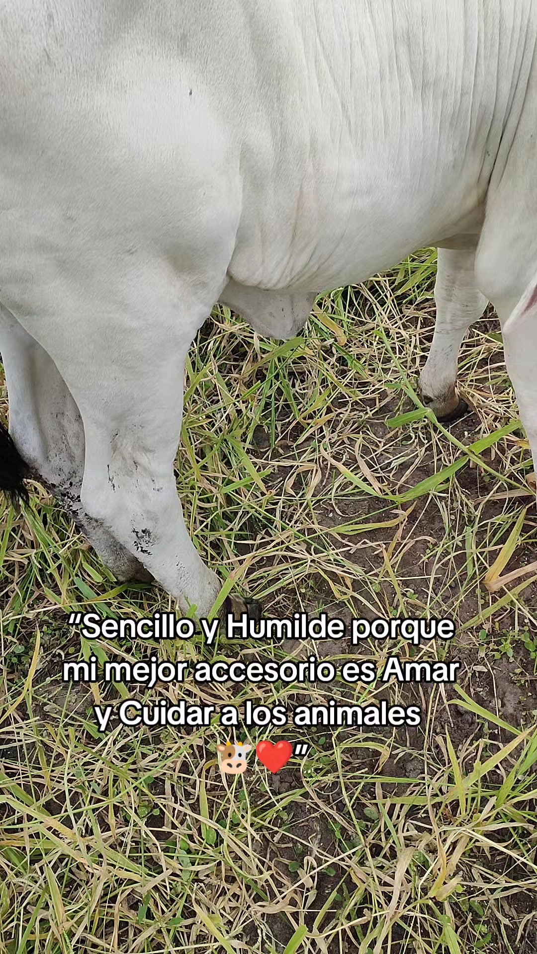 @SERGIO. R._94