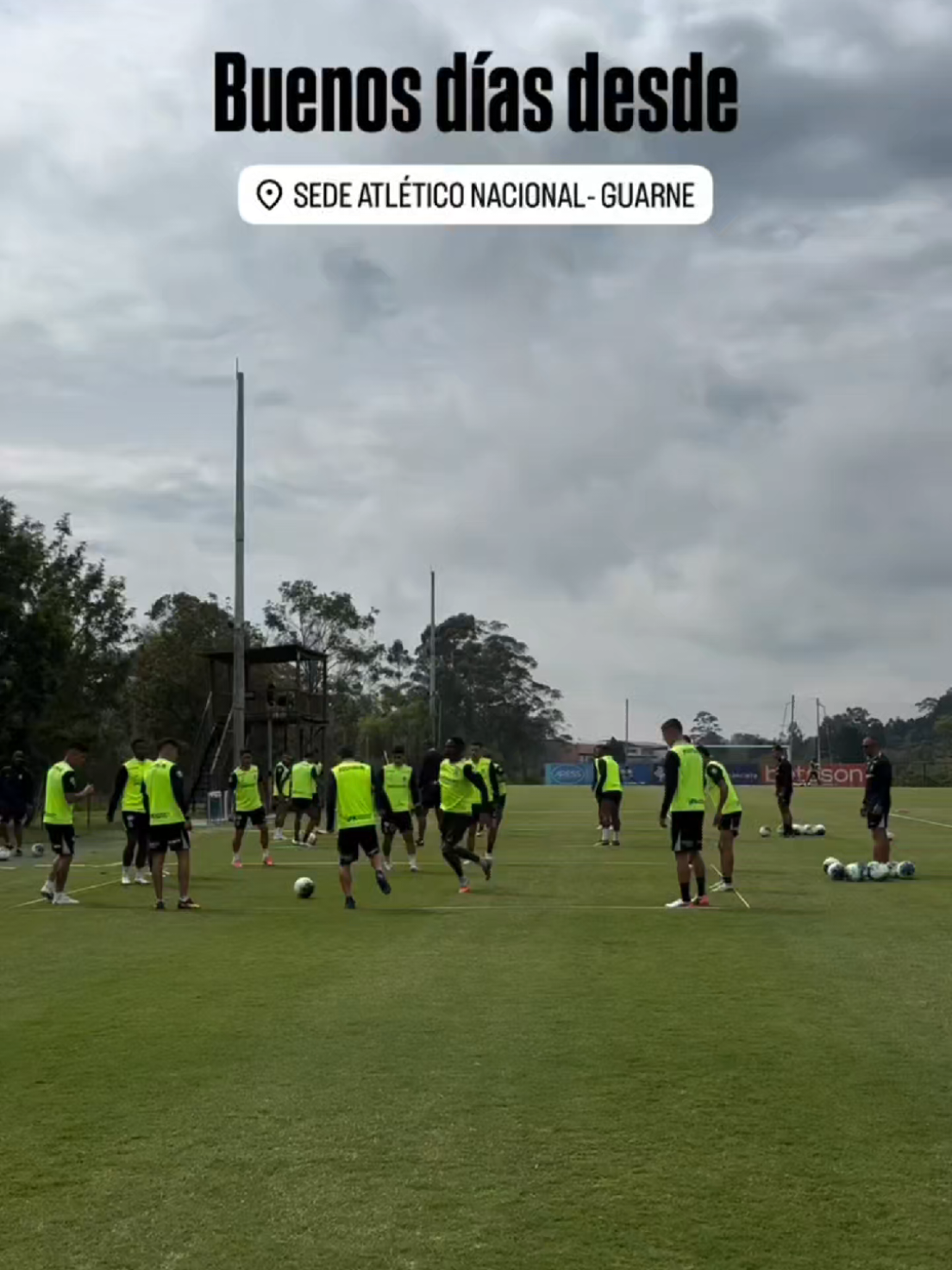 @NOTICIAS DEL VERDE