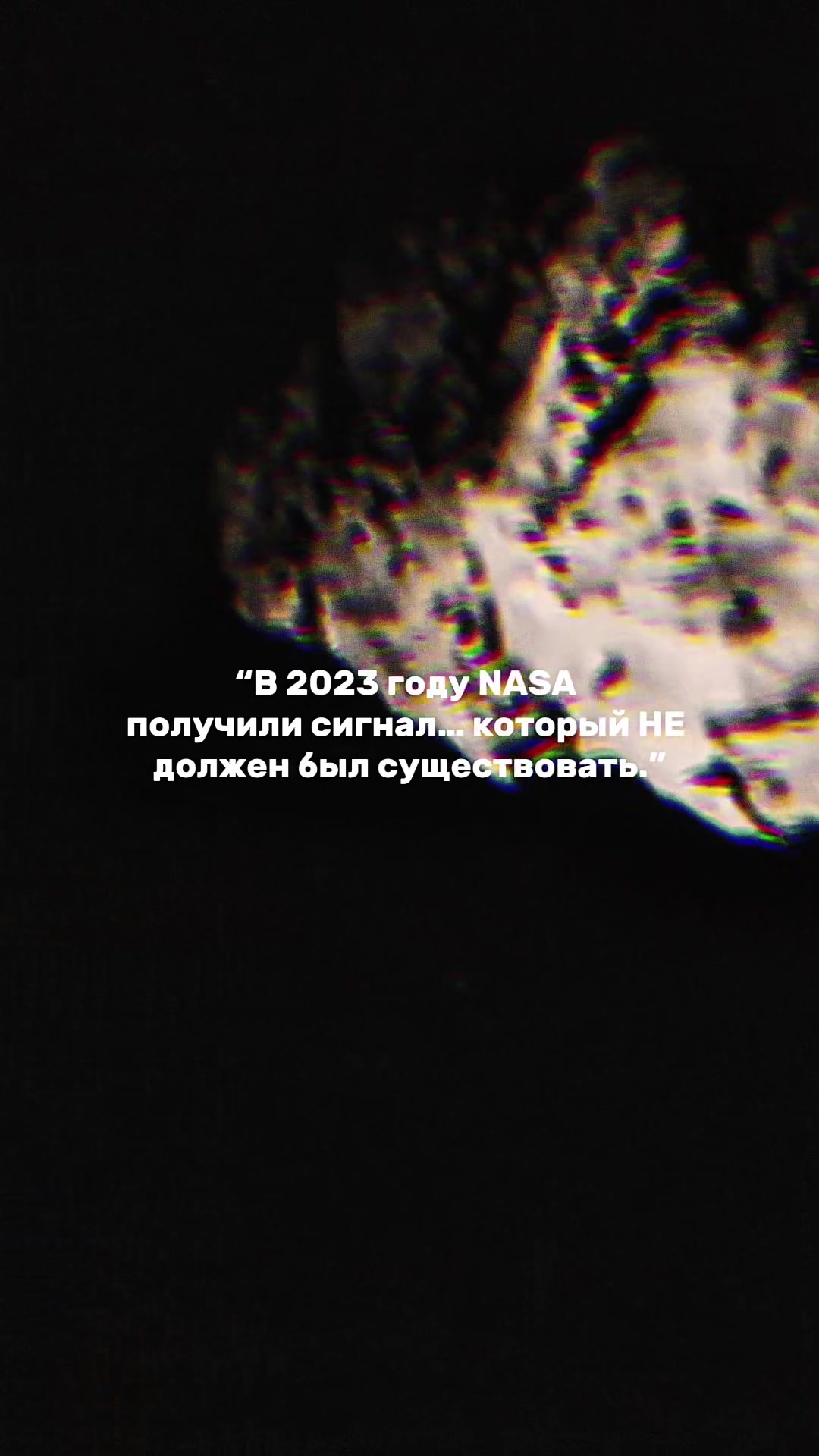 @bubufacts