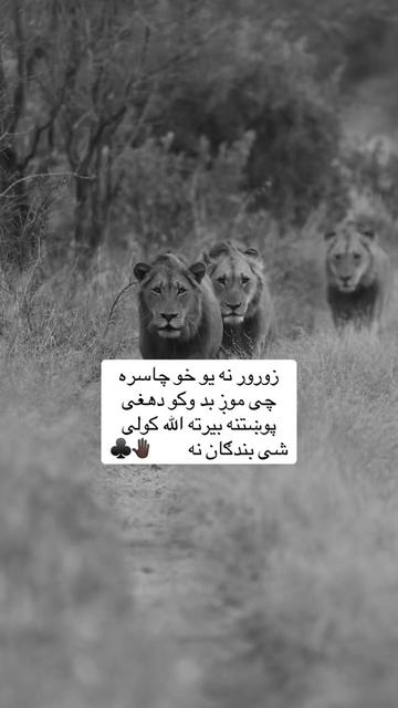 @🥷🏿کــــپــــچــــه🥷🏿
