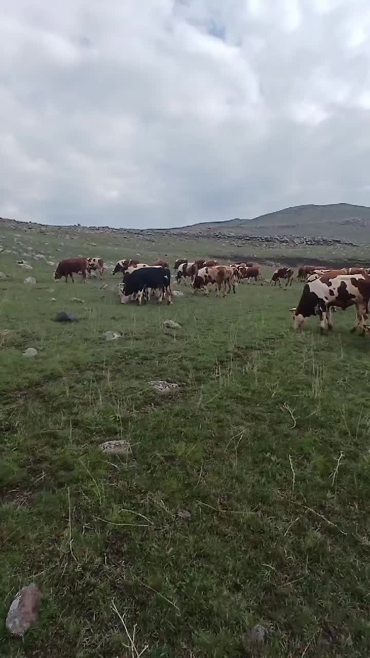 @Gökhan Çoban