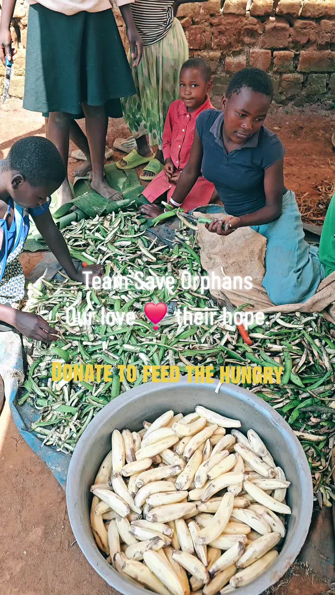 @TEAM SAVE ORPHANS