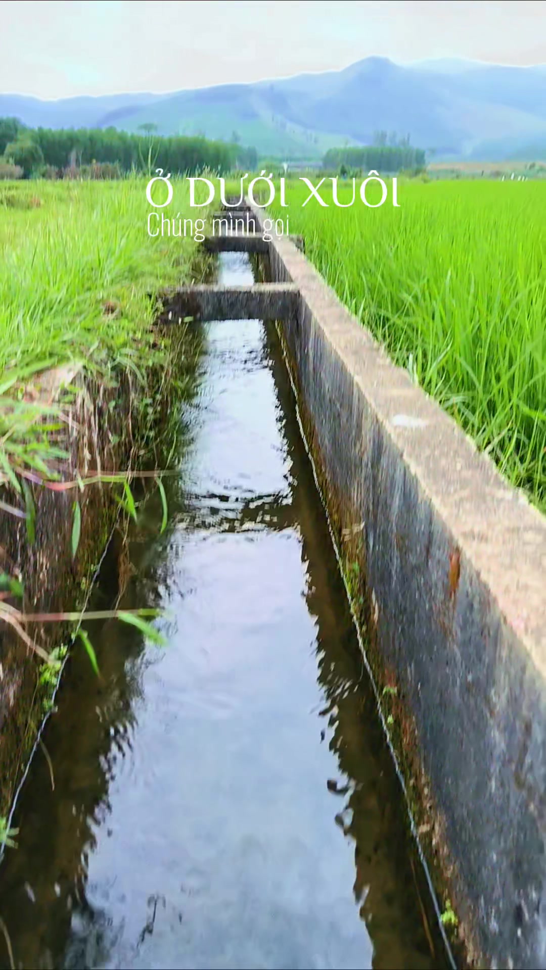 @Nguyễn Văn Thơi