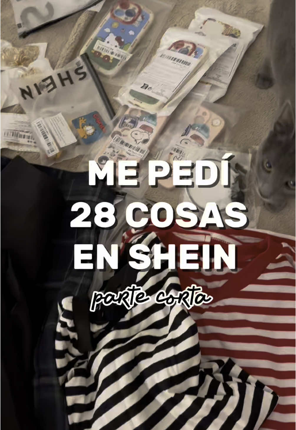@Yori 🧸
