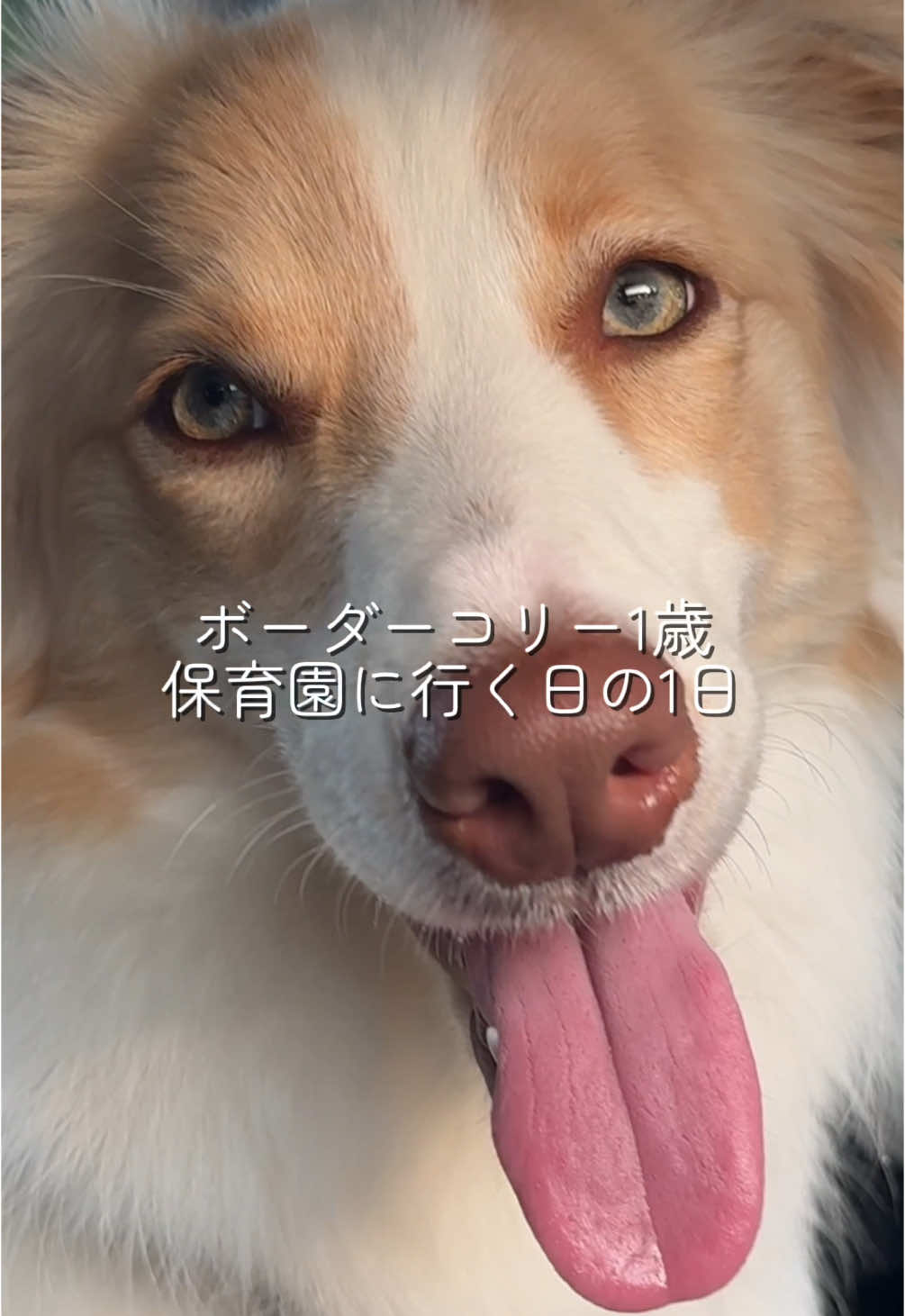 @陣在ほのか